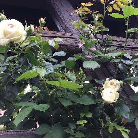 B&B Le Lodge Bourgheim Bagian luar foto