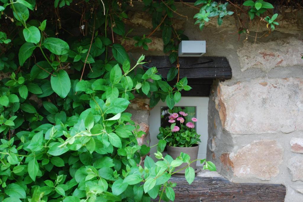 B&B Le Lodge Bourgheim Bagian luar foto